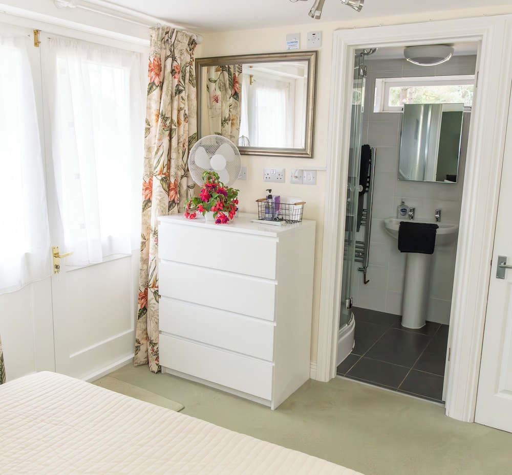 Tranquil Forest Retreat in Brockenhurst