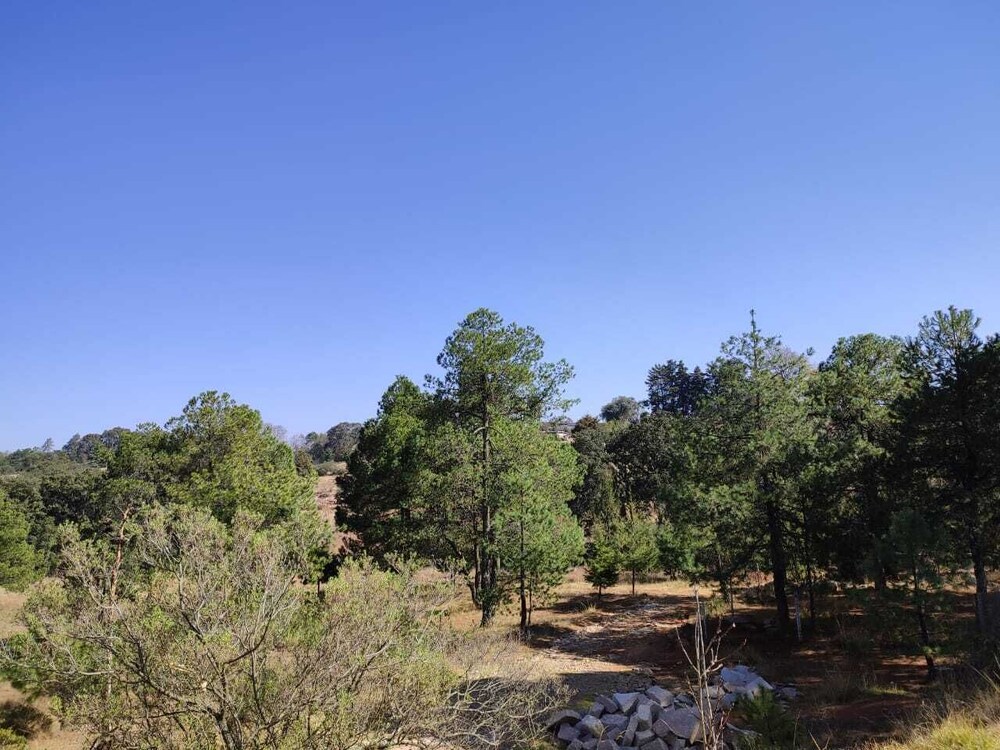 Finca Mayorga
