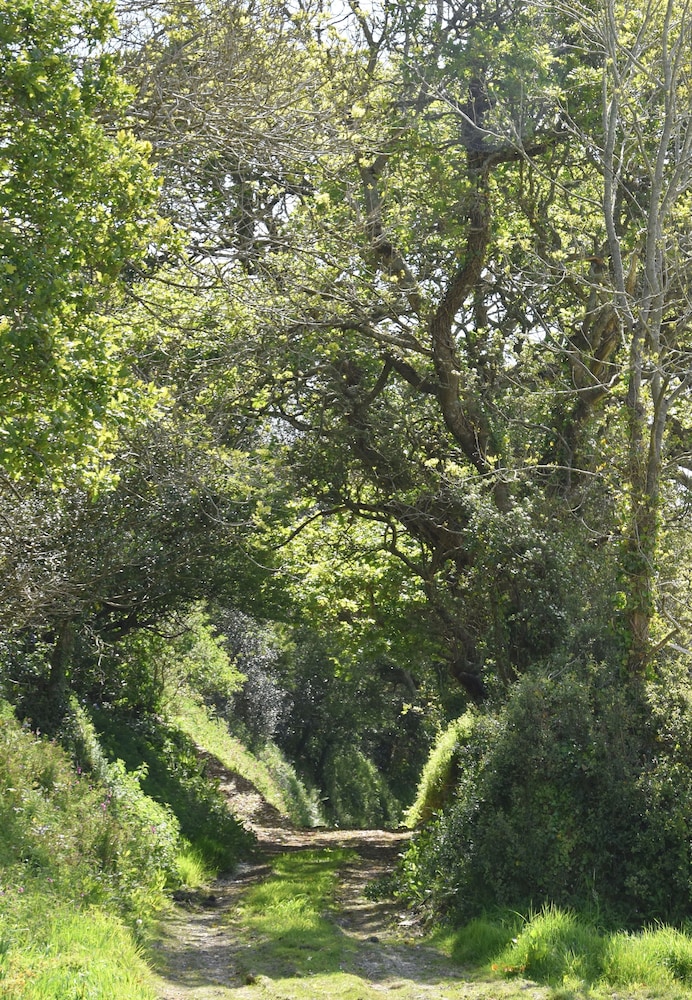 Degembris Cottages