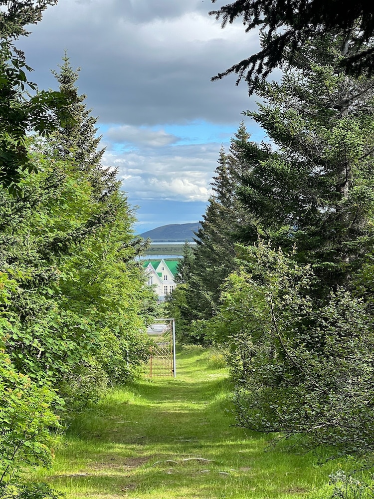 Bjork Guesthouse