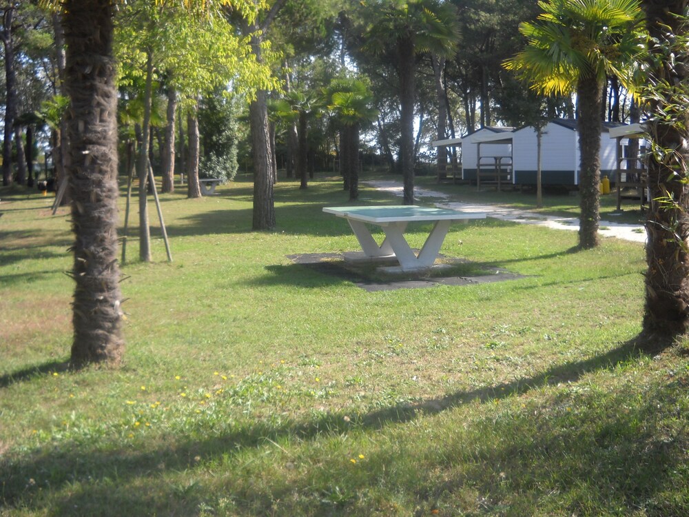 Photo 30