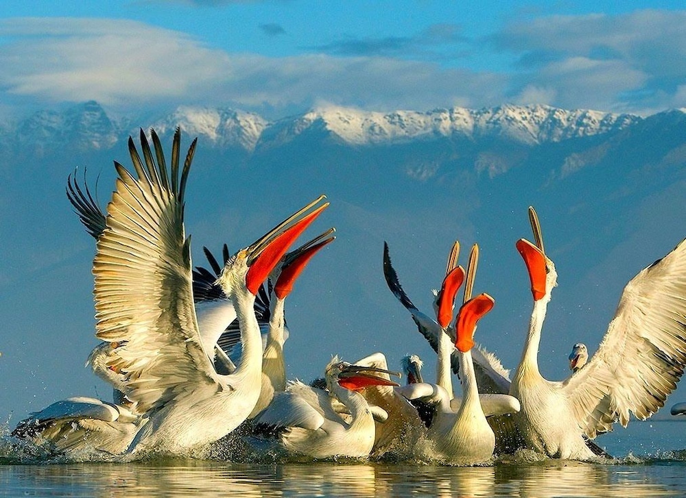 Ixnilatis - Property Image 11