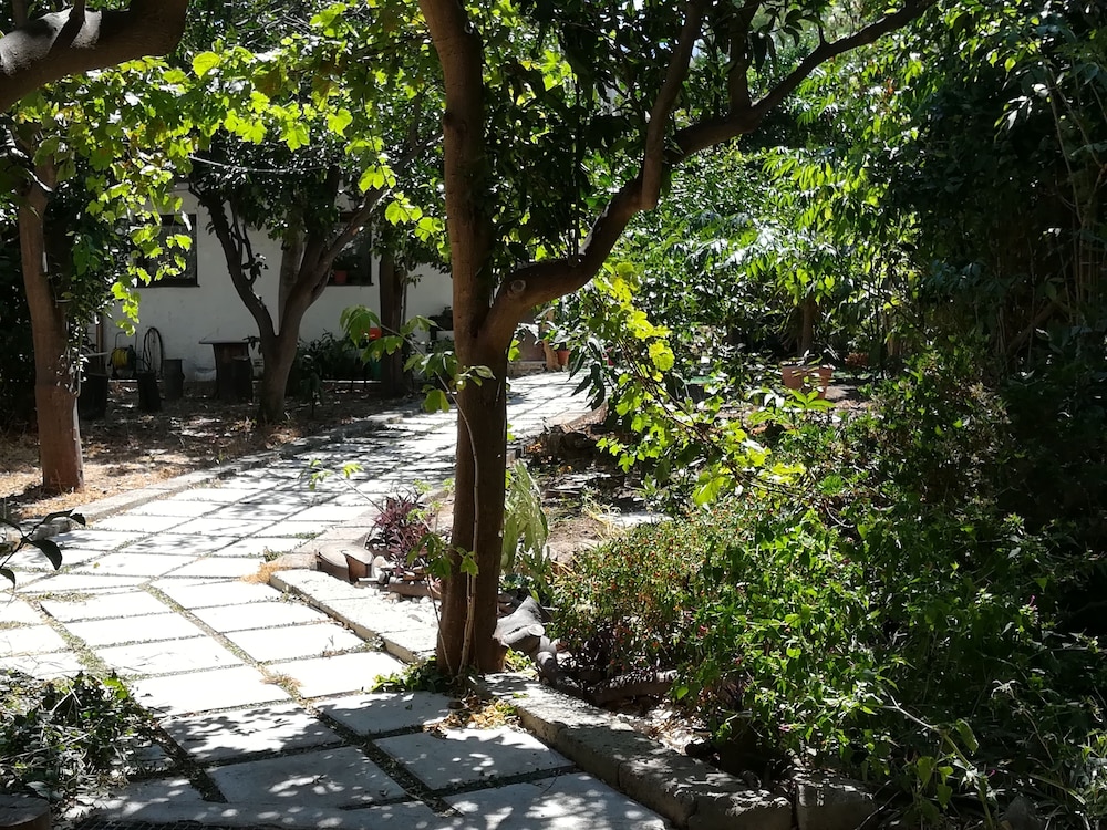 Photo 23