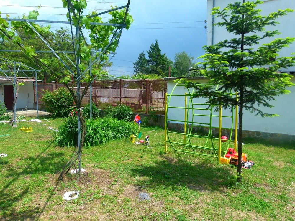 Photo 12