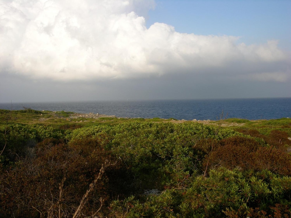Finca Son Josep de Baix view 5