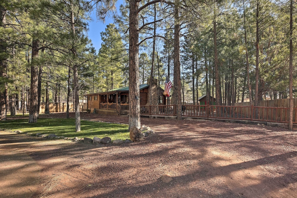 Family & Dog Friendly: Rustic Lakeside Cabin view 5