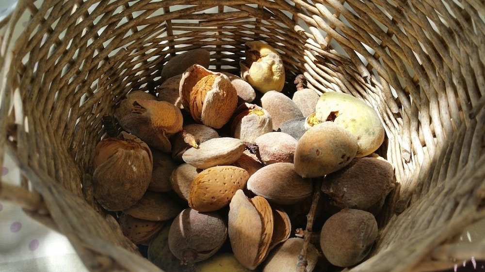 Photo 28
