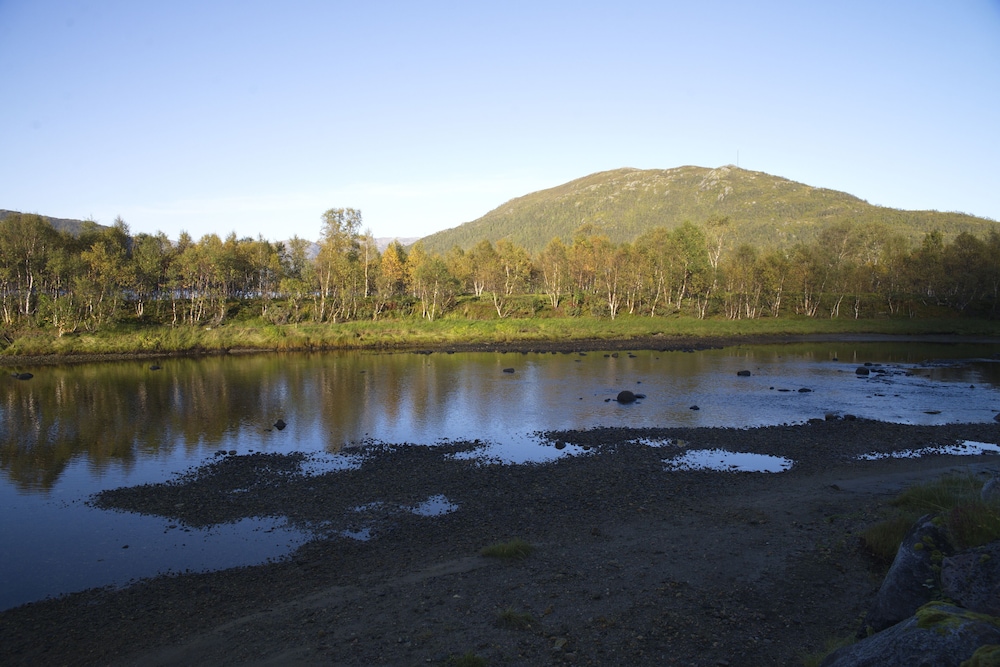 Photo 40