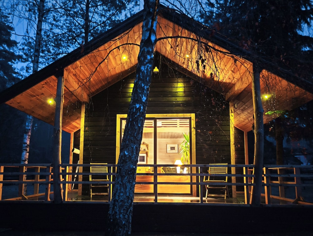Metai Miške&a Year in the Forest