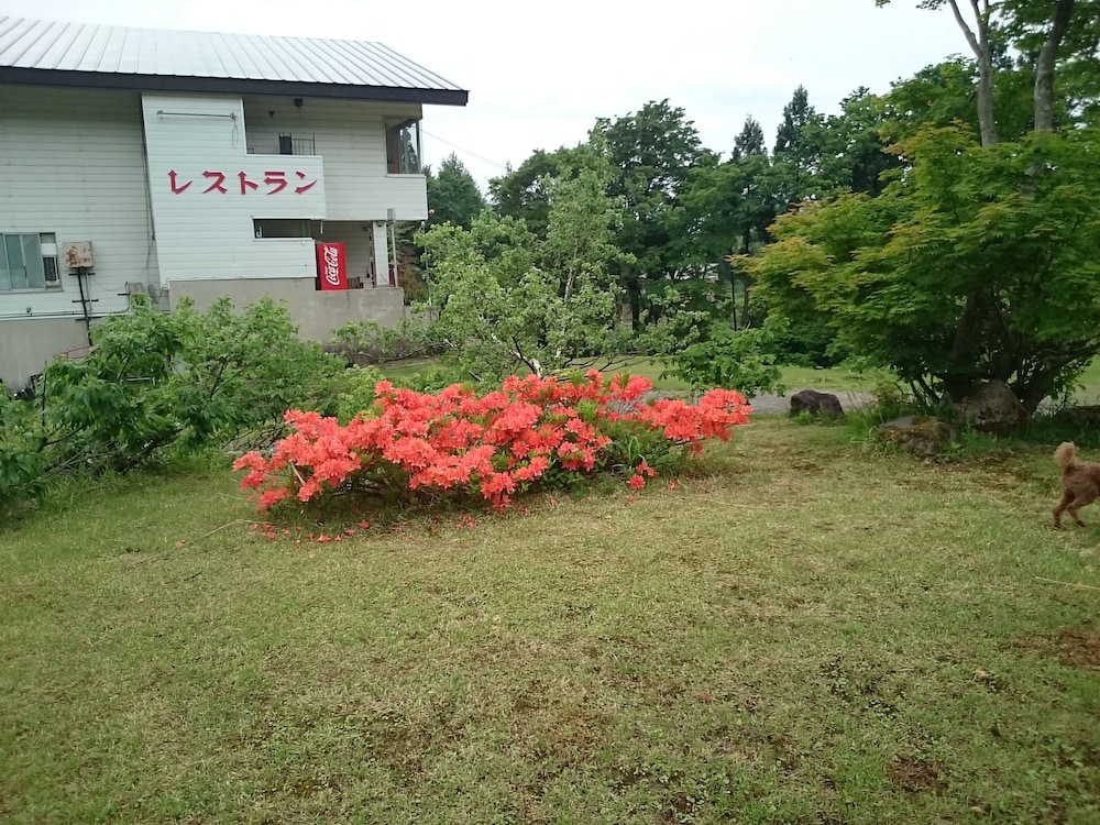 Edelweiss Akakura