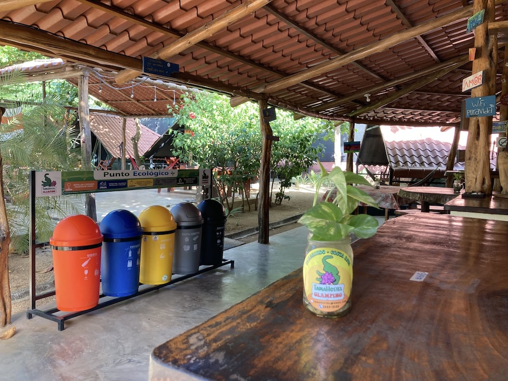 TamaHostel & Glamping view 3