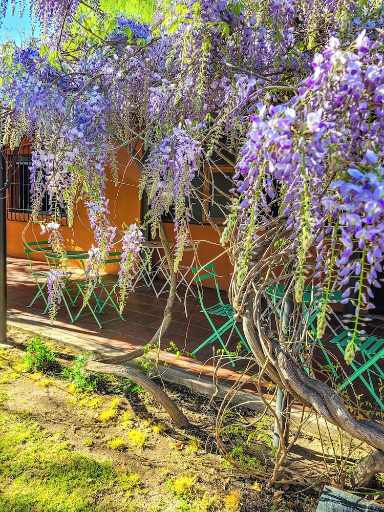 Finca La Saucina