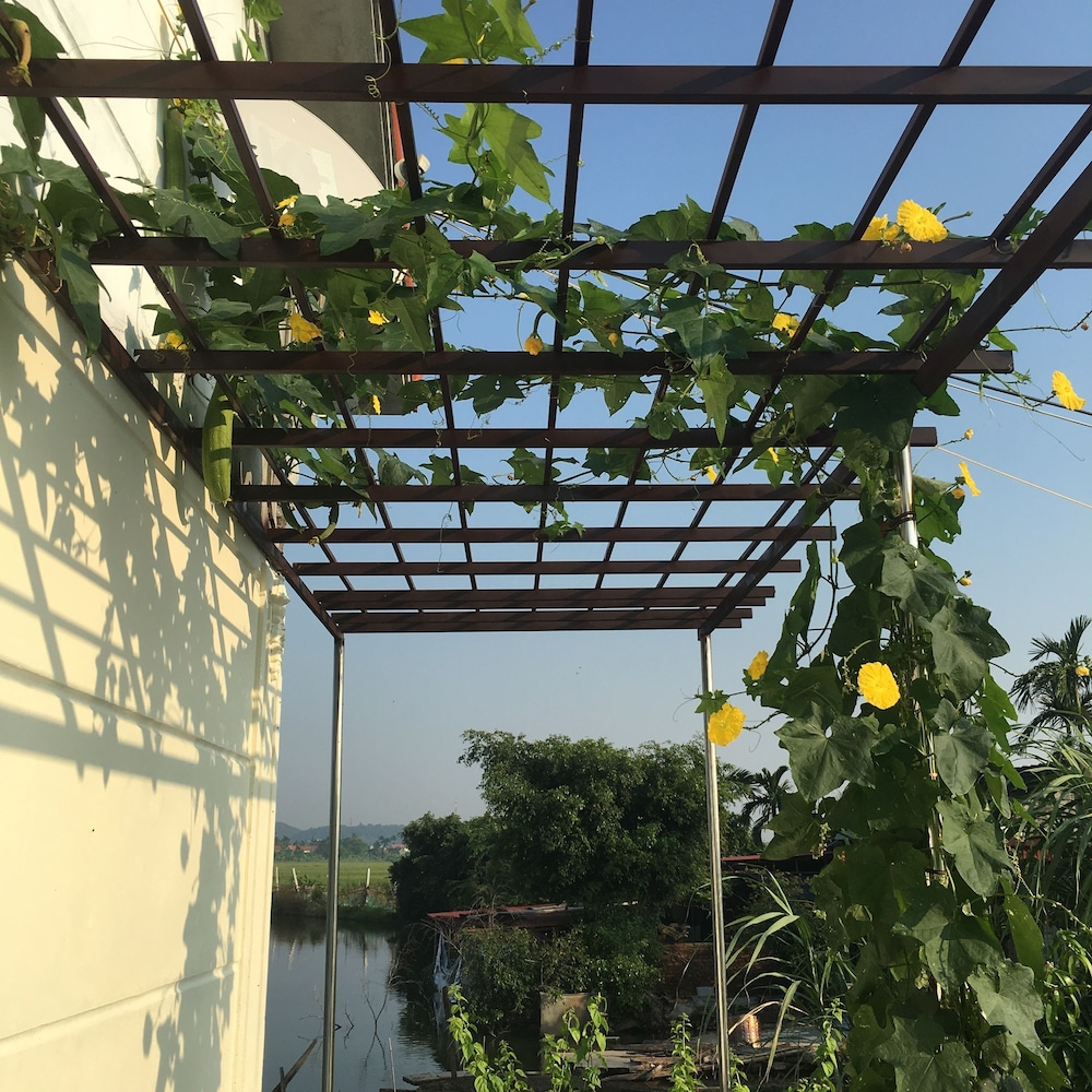 Lotus House