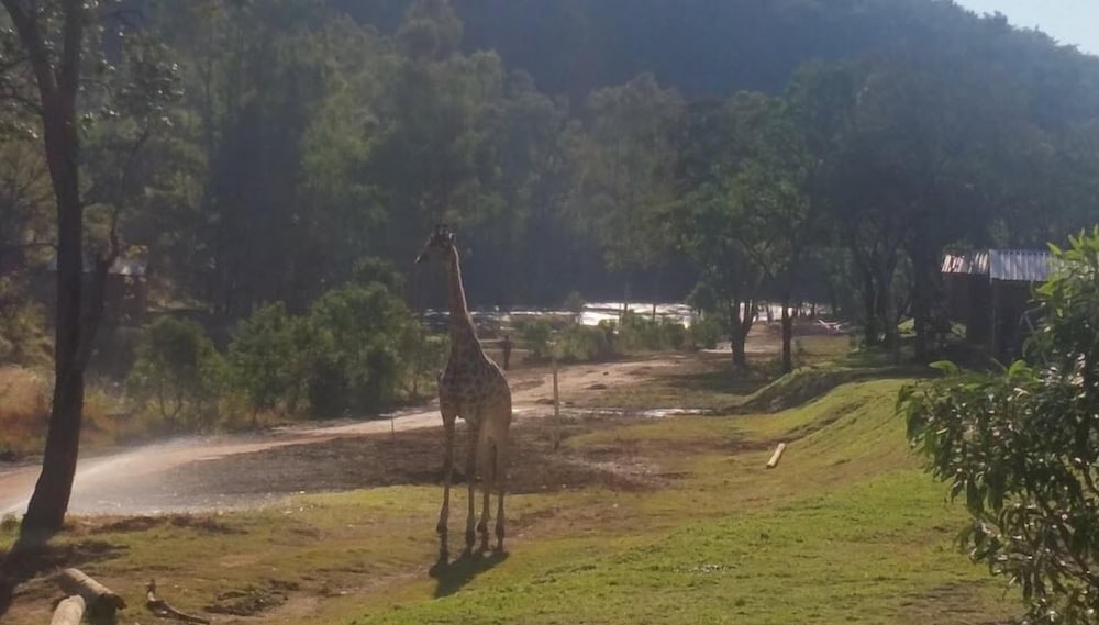 Ruah Park Camping & Outdoor view 4