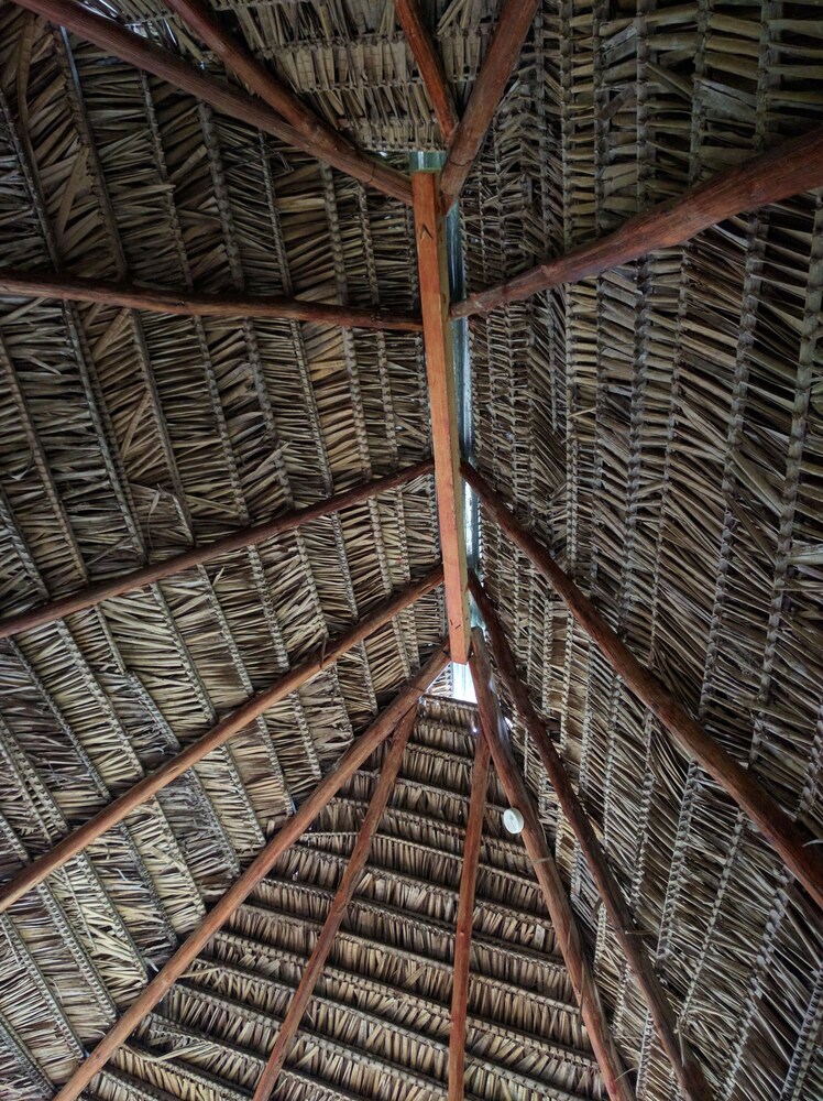 Green forest Ecolodge