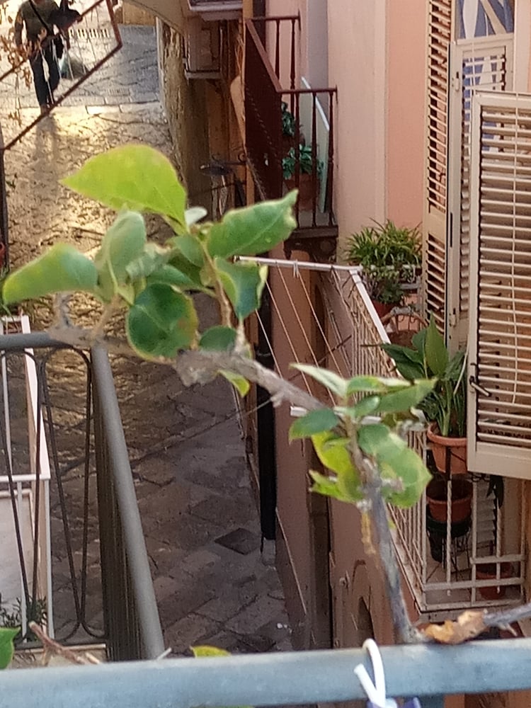 B&B Vento di Terra view 4