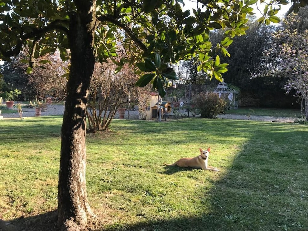Ape Rosa Relais
