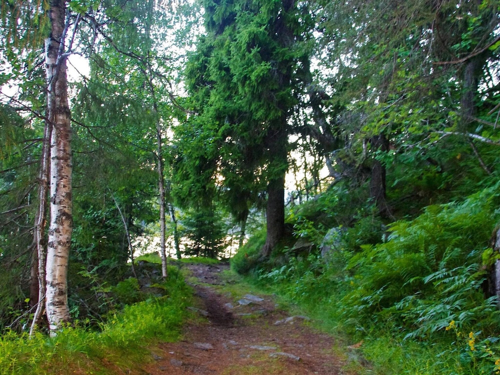 Photo 7