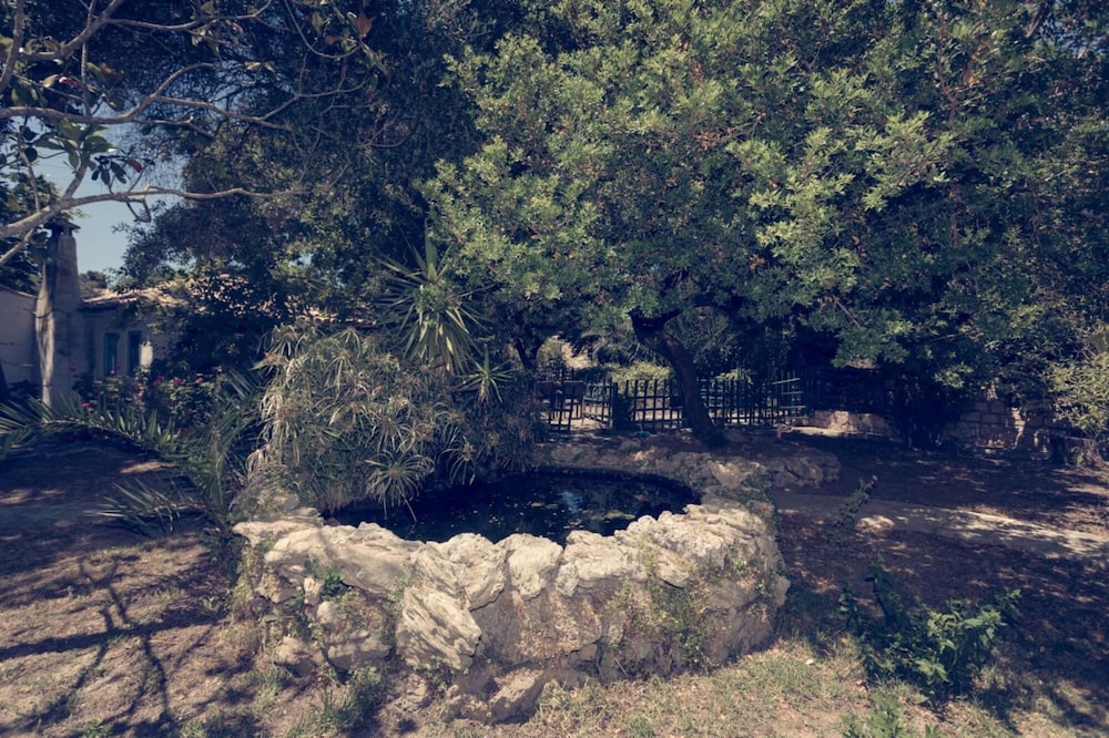 Photo 38