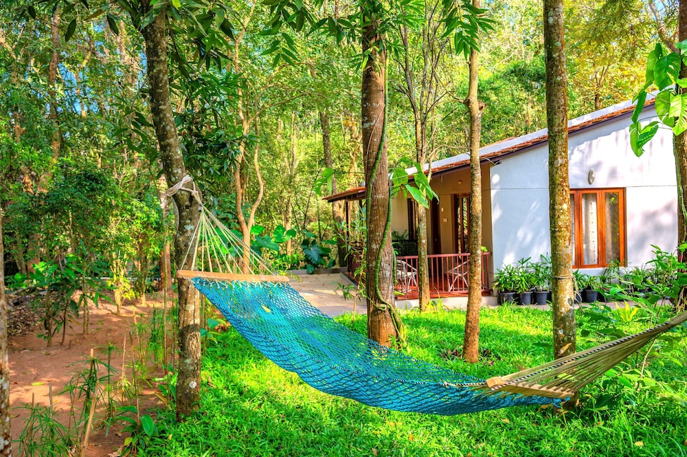 Deepwoodz Homestay by Z Vacations