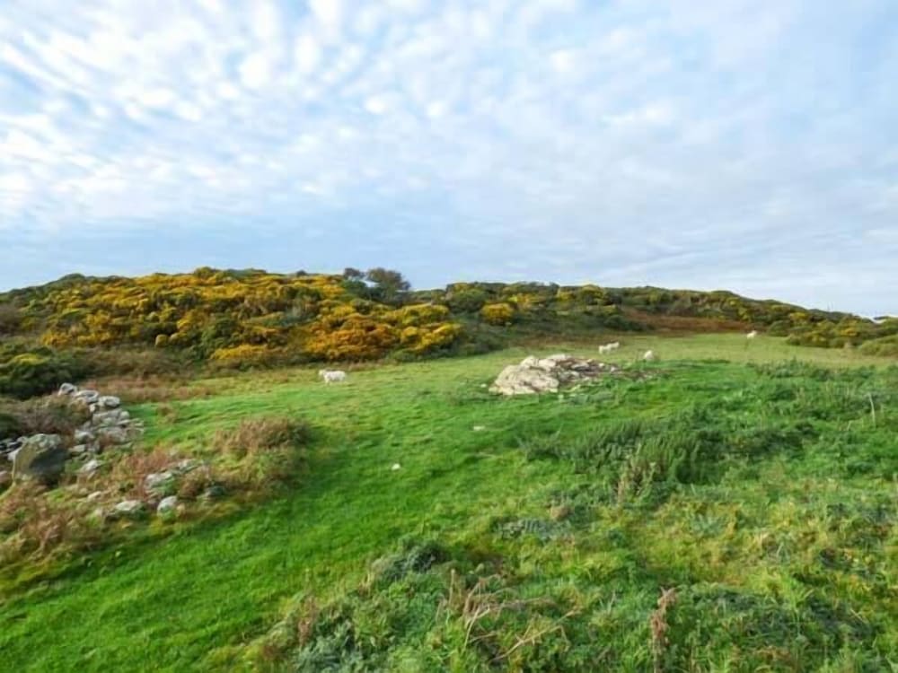 Ysgubor Newydd