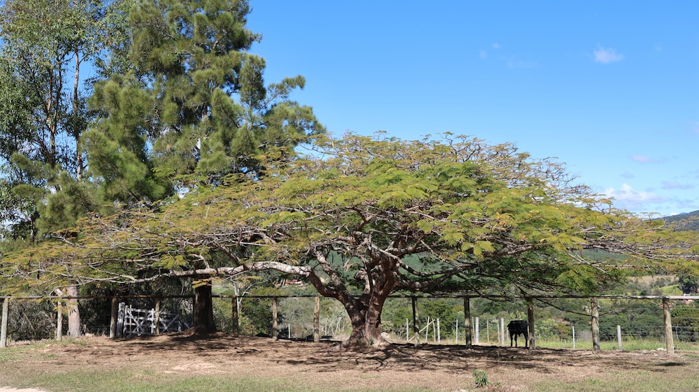 Rancho Topo da Montanha - Nova União MG