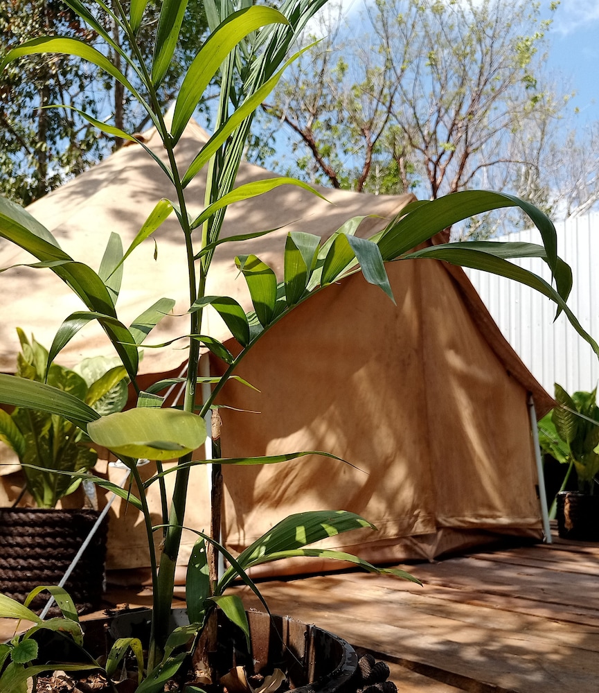 Cozumel Glamping