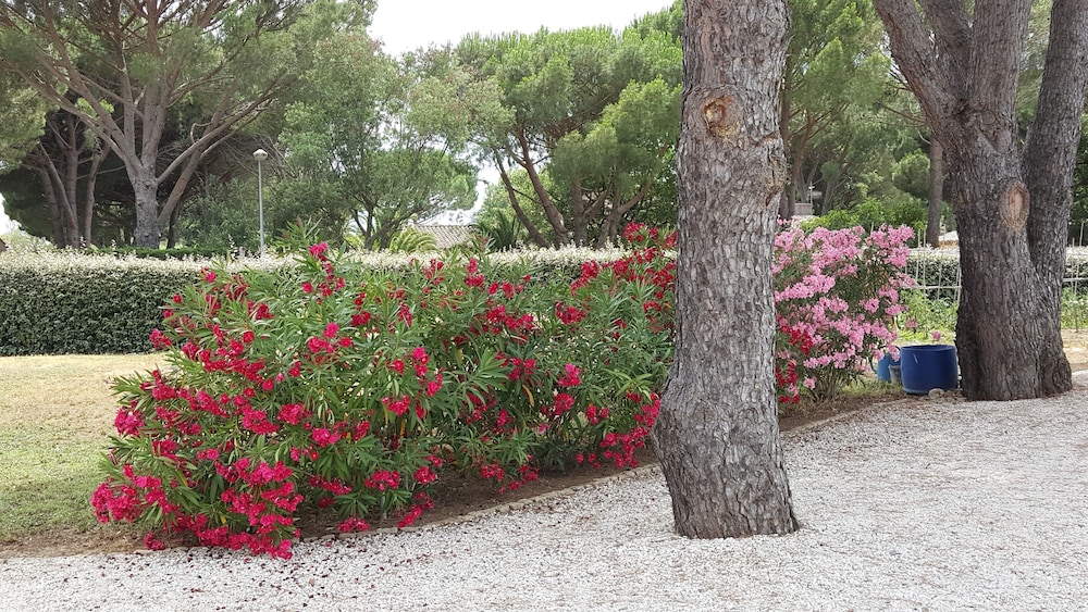 Photo 44