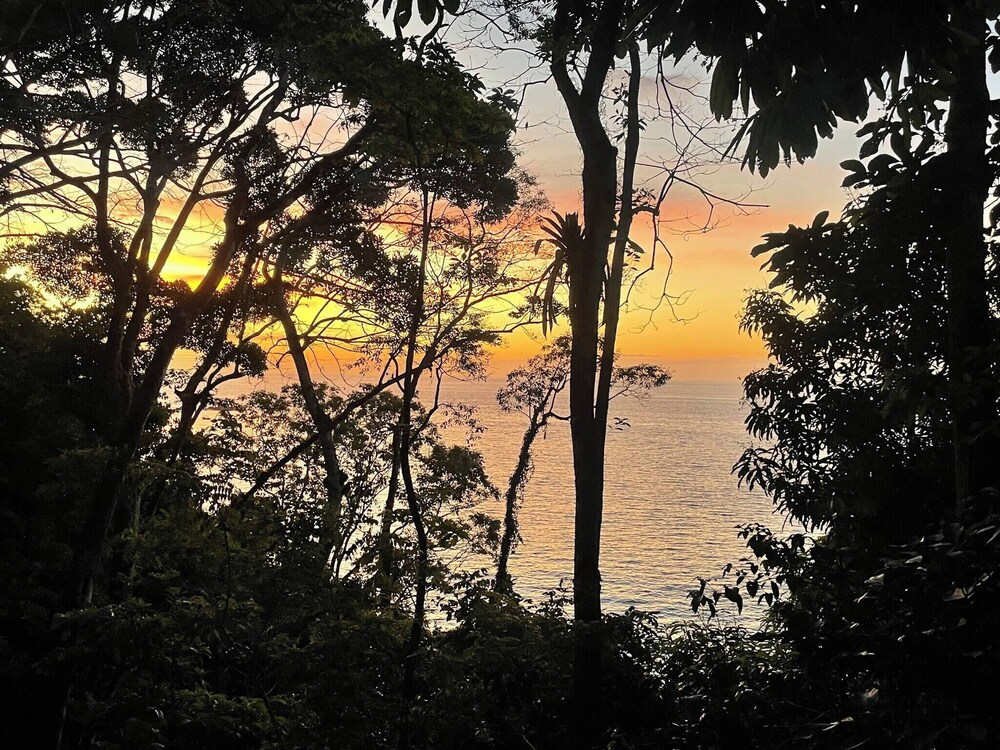 Luxurious Rainforest Retreat in Drake Bay, Osa, Costa Rica