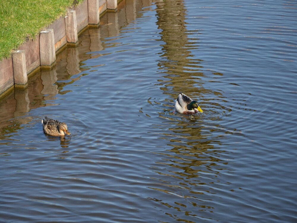 Photo 38