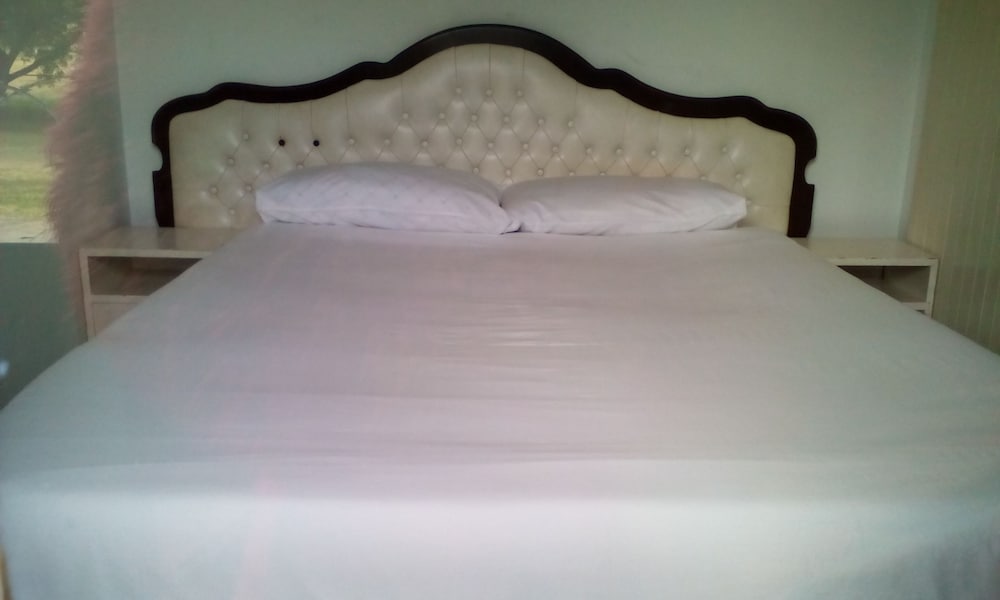 Accoustix Backpackers Lodge view 5