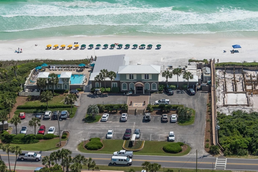 Grayt Paradise