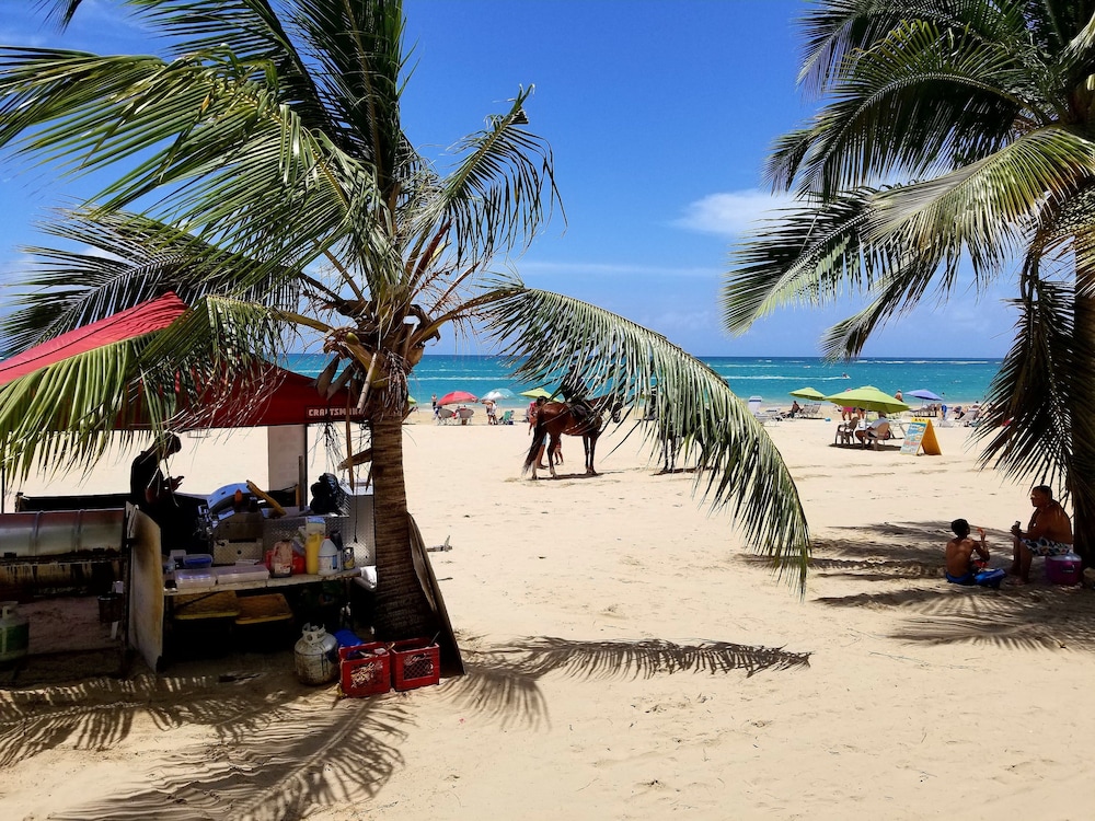 Beachfront Coral Beach Condo 305