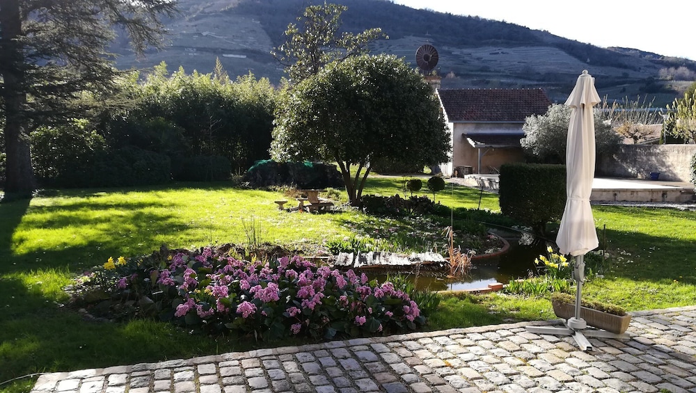 Les Palmiers de Mauves view 5