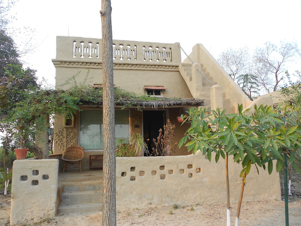 Punjab village farm near Amritsar