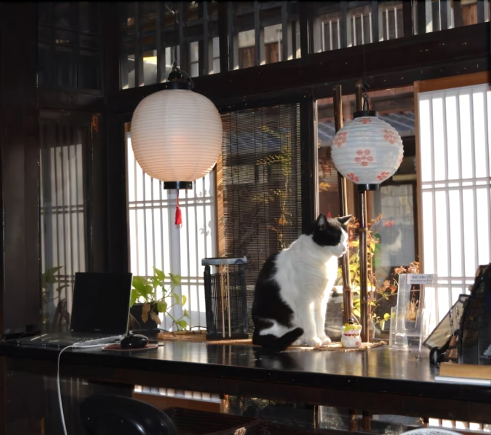 Kyoto Shirakawa Kiraku Inn - Hostel
