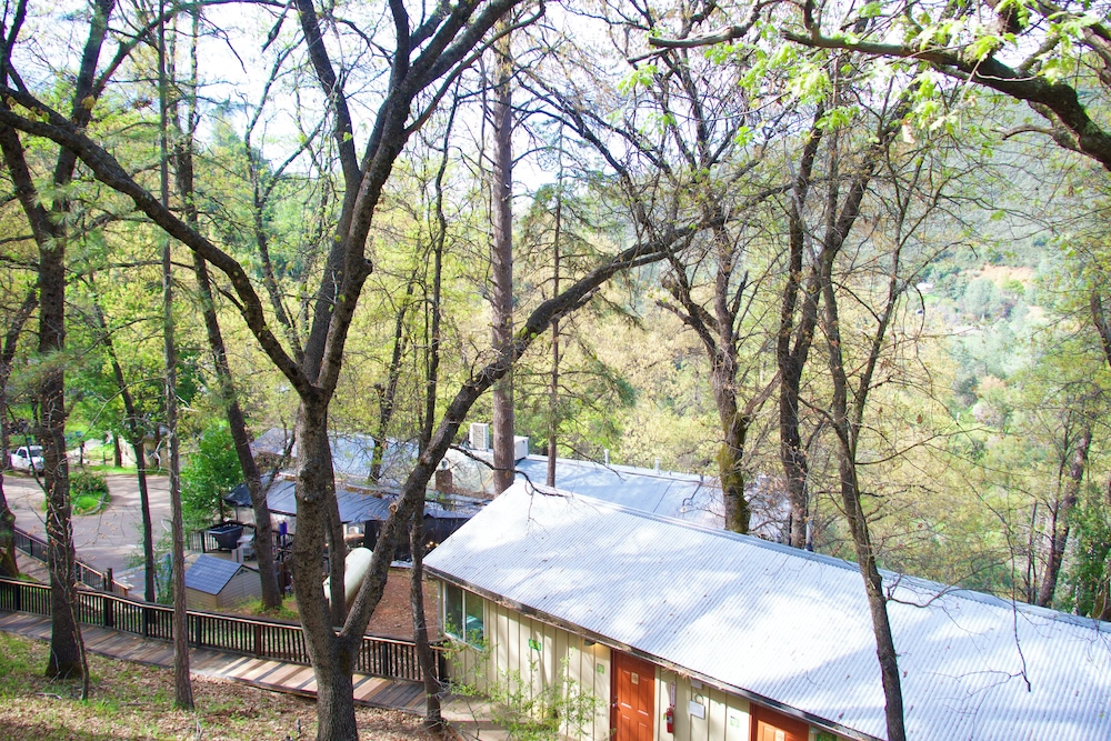 Yosemite Bug Rustic Mountain Resort