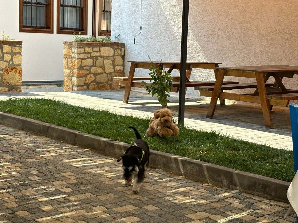 İrinikos Otel - Image 41