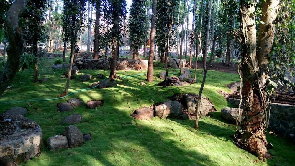 The Brook Resorts & Spa