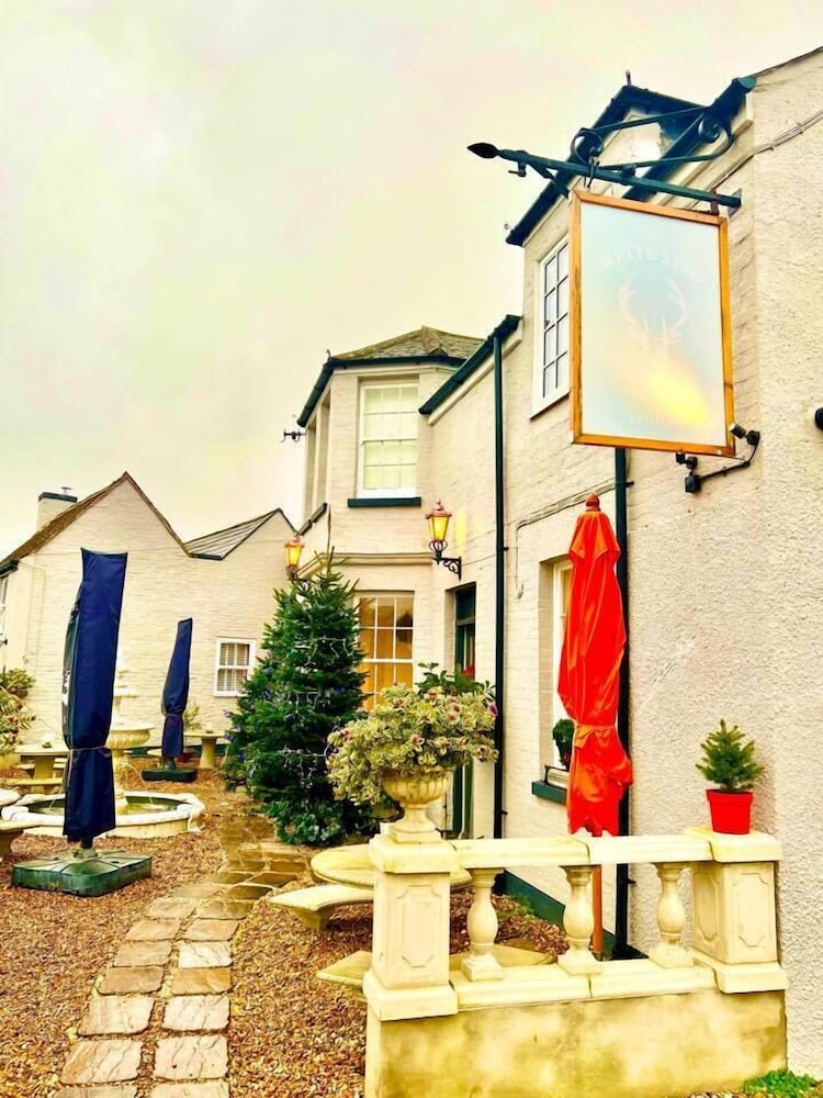 Ramsgate Vacations - White Stag Lodge - Property Image 19