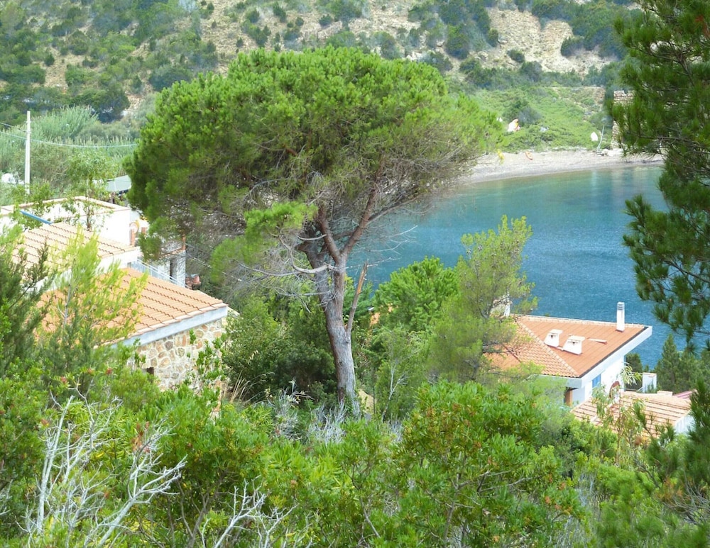 Apartment in Nisporto With Private Sea Access