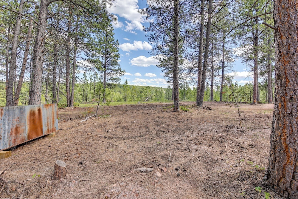 Black Hills Vacation Lodge: Deck & Fire Pit!