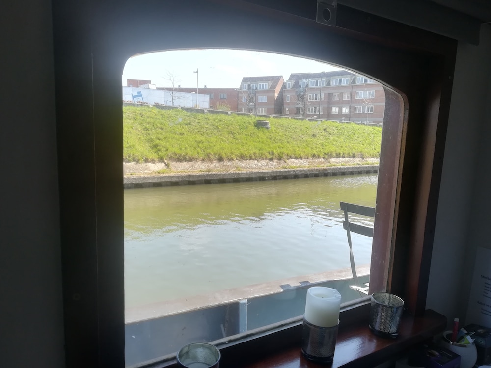 Photo 41