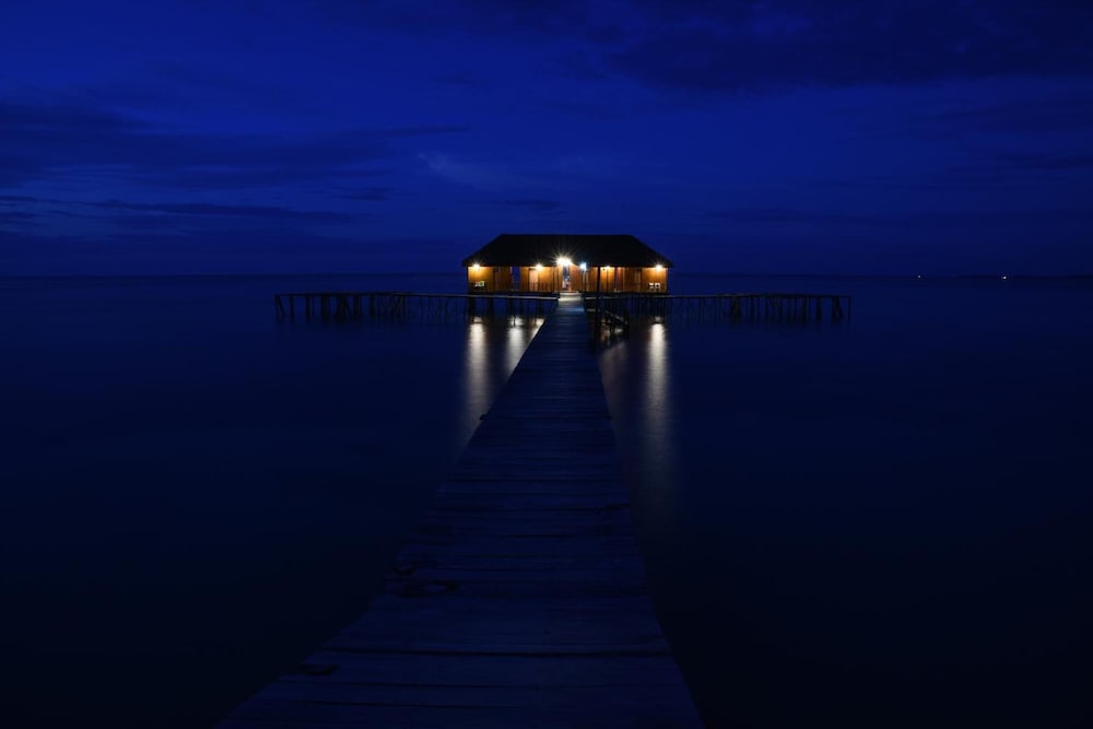 Photo 41