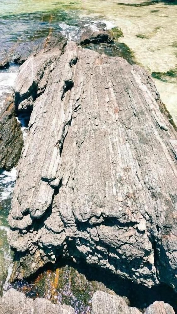 Photo 32