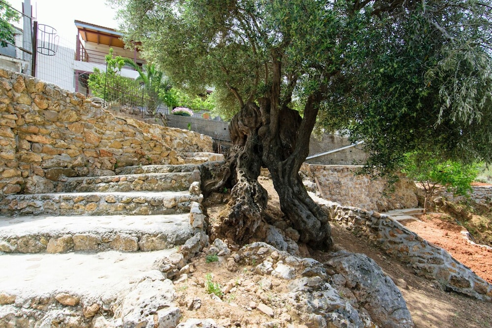 Ortaki Traditional House
