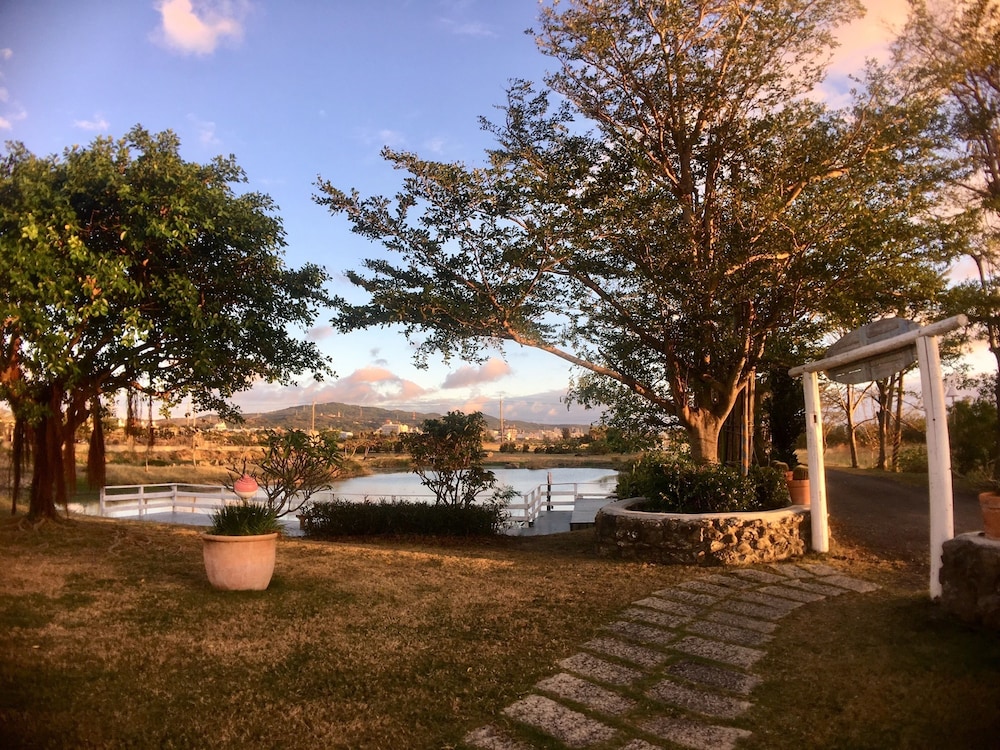 Wild Island B&B