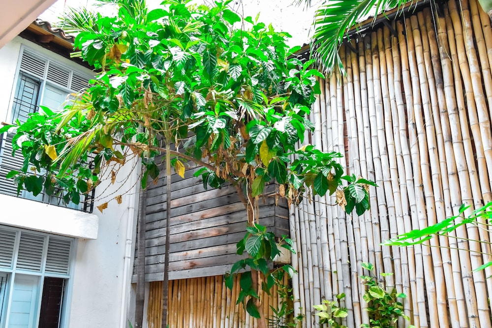 Aluna Hostel B&B