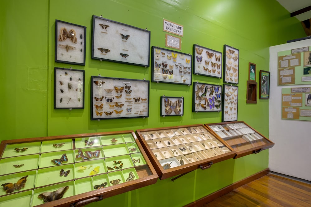 Belize Vacations - Belize Rainforest Retreat at Chaa Creek - Property Image 2