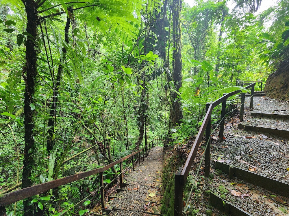 Cabañas Caeli, El Colibri, NEW La Fortuna Rainforest Cabin w Panoramic Views